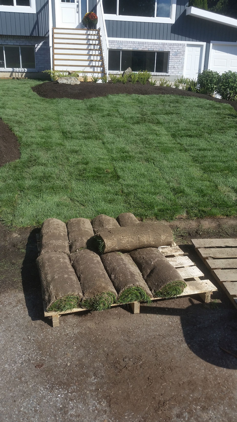 Fresh sod installation by DKA Landscaping